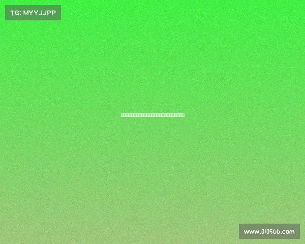 德甲夏季转会窗动态回顾：各大豪门引援策略与新星崛起