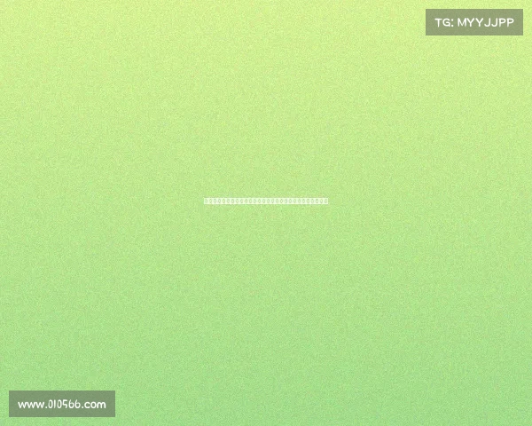 罗马追求埃切韦里受阻转而锁定矿工边锋埃吉纳尔多为核心目标