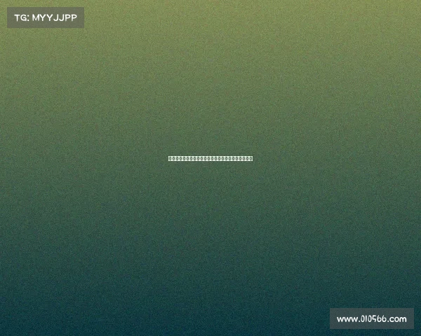 谢晖：球员应珍惜当前国内球市环境避免只为顶薪留洋